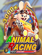 กีฬาได้เงินจริง! sport หรือ sportsSLOT ที่ไม่ควรพลาด